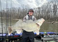Early-ice cadences, Mississippi River giant, Tiller life things