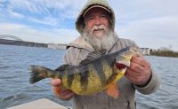 Stealthy walleye tricks, Fattest perch ever, Tungsten vs lead jigs