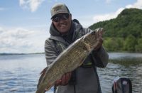 Rip jigging swimbaits, Windy FFS boat control, Monumental Lindy Rig catch