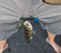 Random FFS thoughts, Busy lake tricks, Moochin’ suspendos