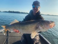 Ultimate finesse rig, Fall turnover explained, Crayfish vs minnow baits