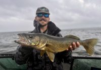 Live sonar masterclass, Calibrate your line-counter, Fishing for deers