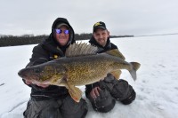 Shallow late-ice walleyes