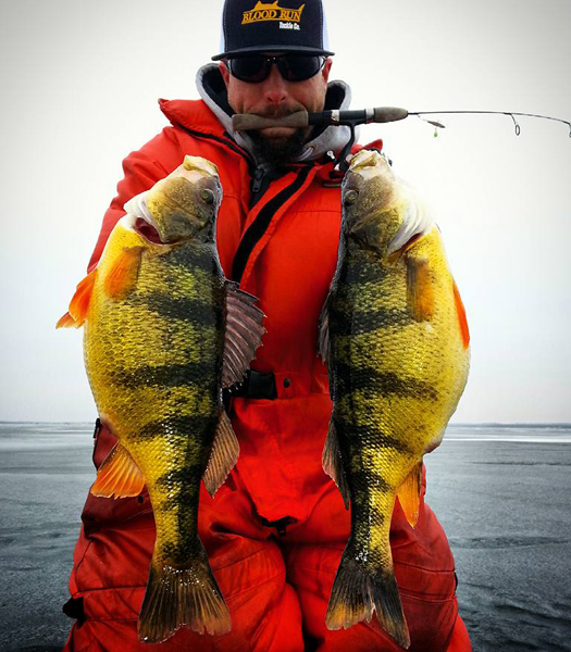 17 lb ice walleye, Pot-bellies of the week, More rings for more