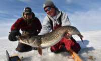 Late-ice trophy pike…on hot dogs??