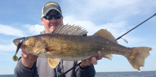 Supersized: Big plastics for bigger ‘eyes – Target Walleye