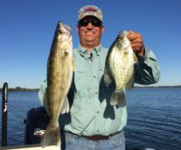 Don’t overlook weed walleyes in fall