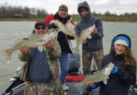 World walleye champs, Bring the fish to you, Tourneys make you better