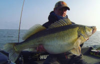 Catch pigs on pork, Keeping shiners pinned, Walleyes of the week