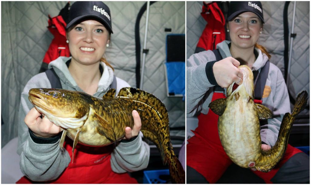 Ice fishing for BURBOT (best spots, gear, and techniques) Target Walleye