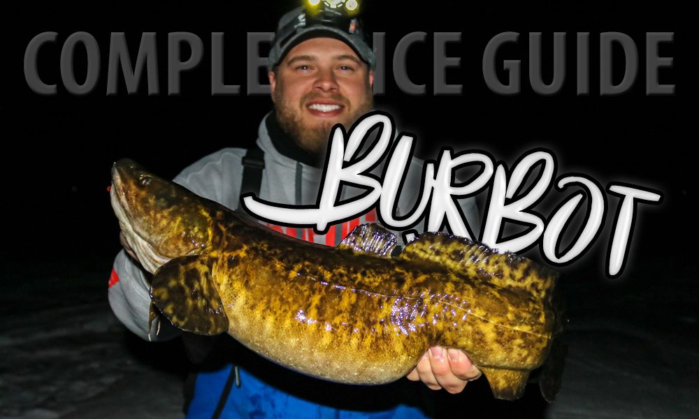 Ice fishing for BURBOT (best spots, baits, technique and gear