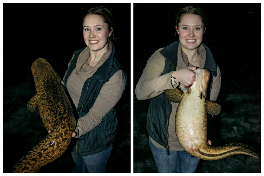 Ice fishing for BURBOT (best spots, gear, and techniques) Target Walleye