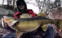 Use wider wobbling cranks, Alfalfa walleye caught, Frosted jerkbait tip