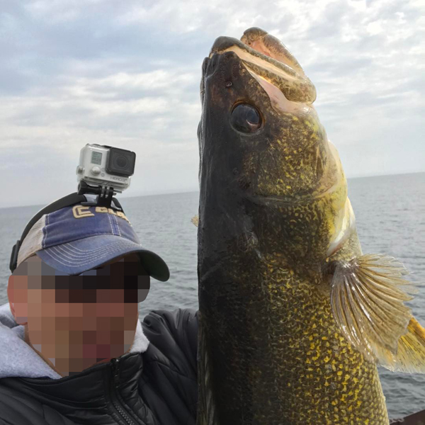 22 unique ways to hold a walleye Target Walleye