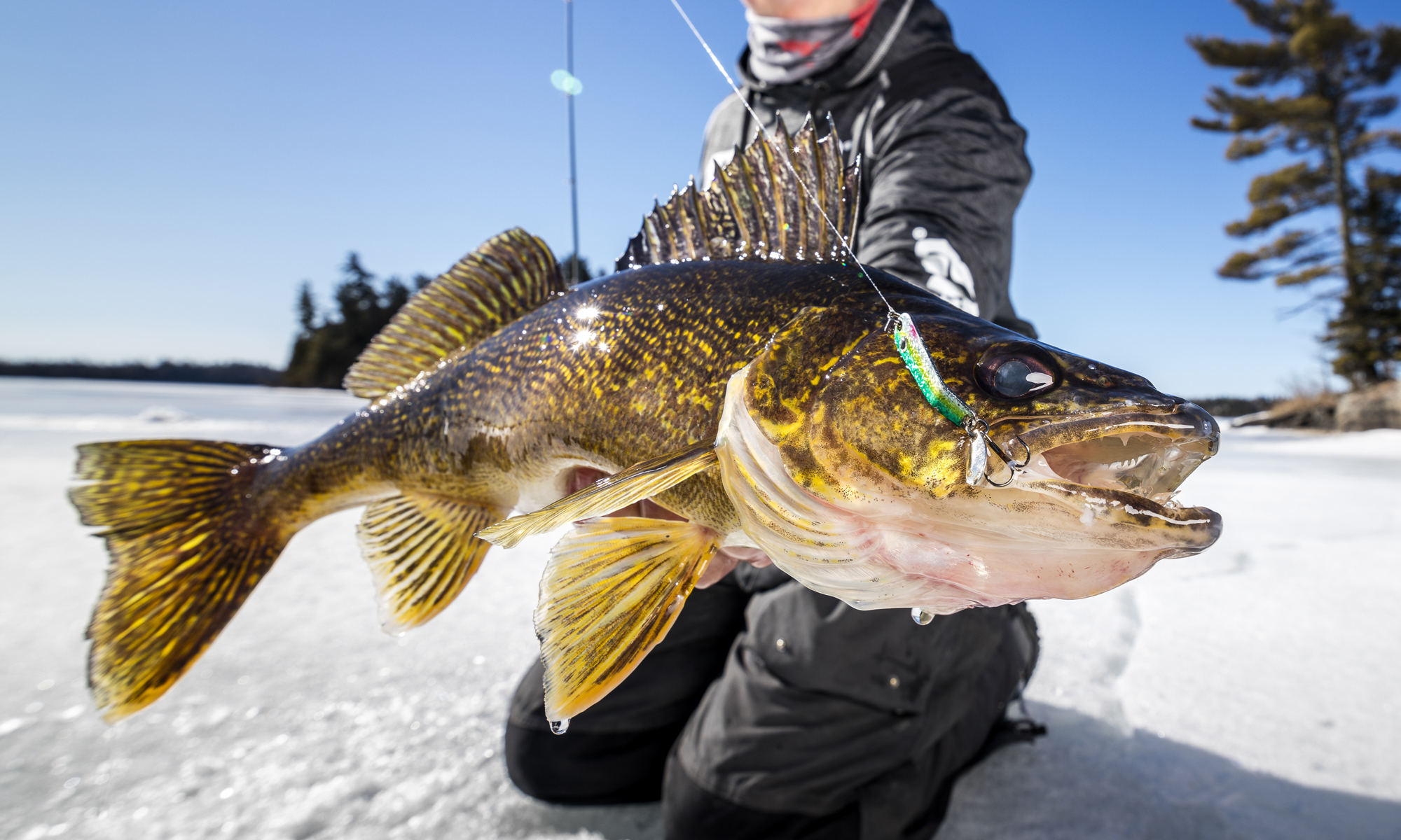 Special early-ice baits and gear issue! – Target Walleye