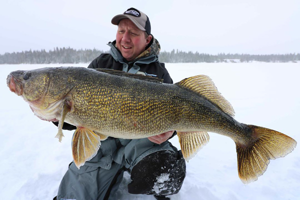 Walleye engulfs transducer, Daytime crappies hide, Slobs of the