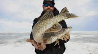 Big fish in slower current, Green carp through ice, Spring pikefest