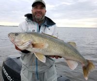 Planer board mistake, Walleyes can’t hide, Pike eats transducer