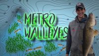 How to catch heavily-pressured metro walleyes