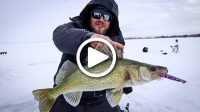 Dropper chains for panfish, Cold front walleye tip, Massive spoons shallow