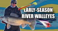 How to catch BIG early-season river walleyes