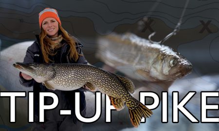 https://targetwalleye.com/wp-content/uploads/2019/03/SHARE-IMAGE-tip-up-pike-locations-lake-of-the-woods_edited-2-450x270.jpg