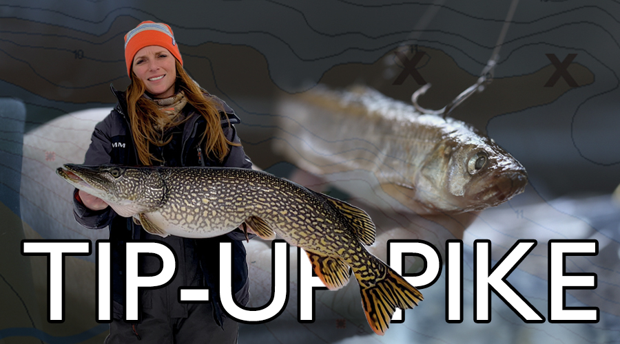 BIG PIKE in a TINY POND on the TIP UP-Ice Fishing#shorts 