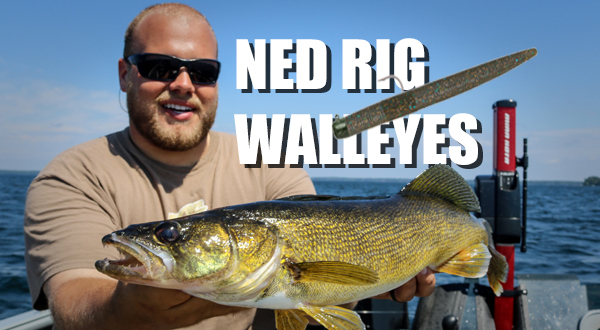 Ned Rig: The best WALLEYE bait no one's throwing – Target Walleye