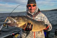 Not all walleyes go deep, Lead tackle ban, Use lighter jig strokes
