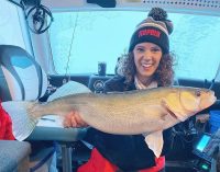 Walleye locations now, DIY truck rod holder, Hilarious ice fishing video