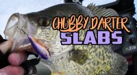Use lipless cranks to catch the biggest crappies from a school
