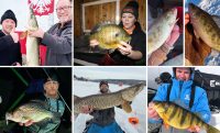 Muskie eats transducer, Stripe-less perch, How Tom Boley scouts new water