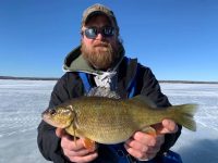Walleye swims 500 miles, Biggest stripe-less perch yet, Reel wrong handed rant 😤