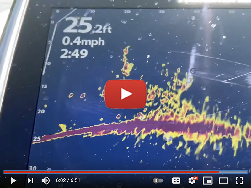 Lightning Strikes A Man's Fishing Rod In Crazy Video