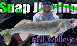How to rig BIG chubs for fall walleye (complete guide) – Target