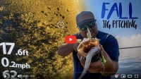 Fall jig pitching tips, Bass eat the darndest things, Fishing superstitions