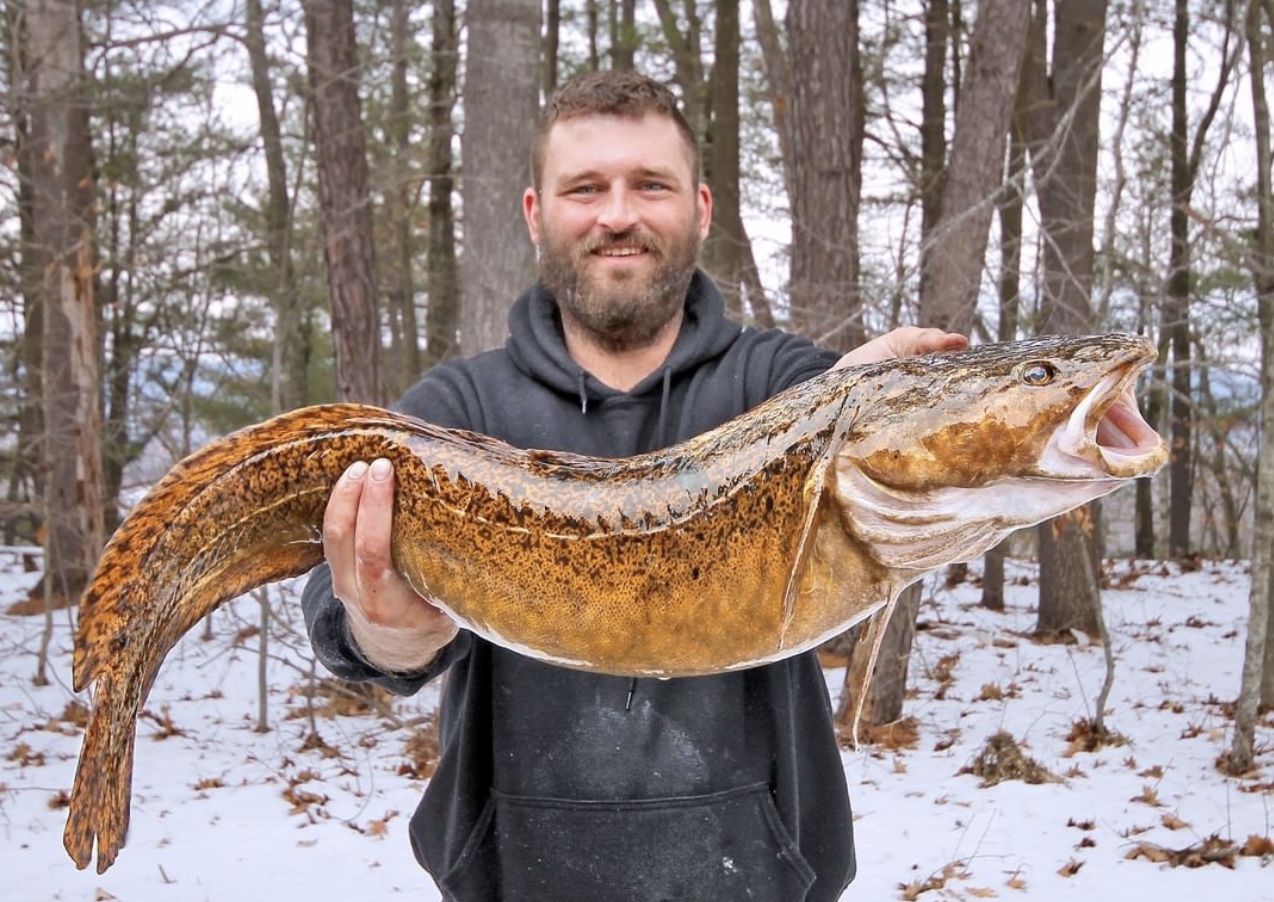 No fish tale. Record burbot caught in Lake Michigan