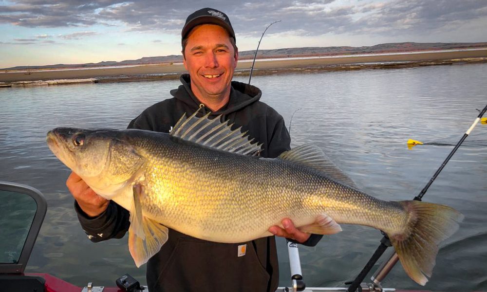 Craziest walleye of the year, How fast fish actually grow, Longer ice rods  better – Target Walleye