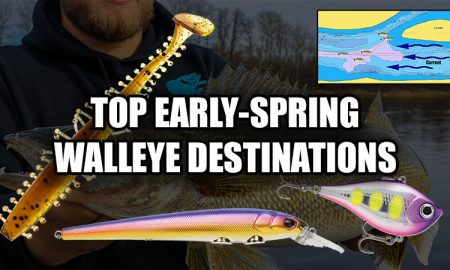 Closer look at the new VMC Moon Tail Jig – Target Walleye