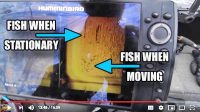 Bass bait wins walleye derby, Rippin’ Rap mod, Cold-front boat positioning