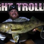 Ned Rig: The best WALLEYE bait no one’s throwing – Target Walleye