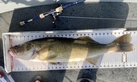 https://targetwalleye.com/wp-content/uploads/2022/07/Walleye-Wars-Ryley-Desautels-Ontario-Target-Walleye-Fishing-450x270.jpg