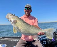 Bass fish for bigger walleyes, Gravel lizards of the week, Dogs fish too