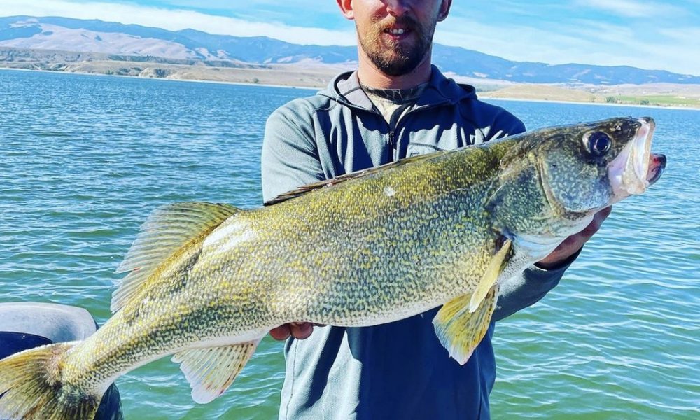 Ice fishing for BURBOT (best spots, gear, and techniques) Target Walleye