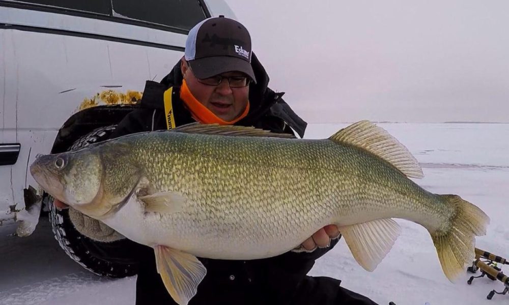 Fattest walleye ever, Wild fish house designs, Down Imaging