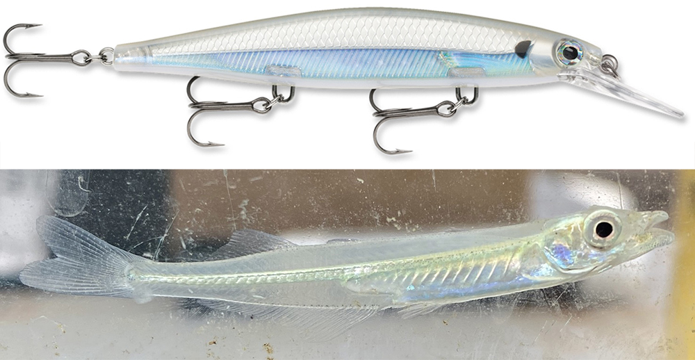 6 pcs “Ghost” Super Minnow swimbait fishing lures- 4 inches – Super Lures  USA