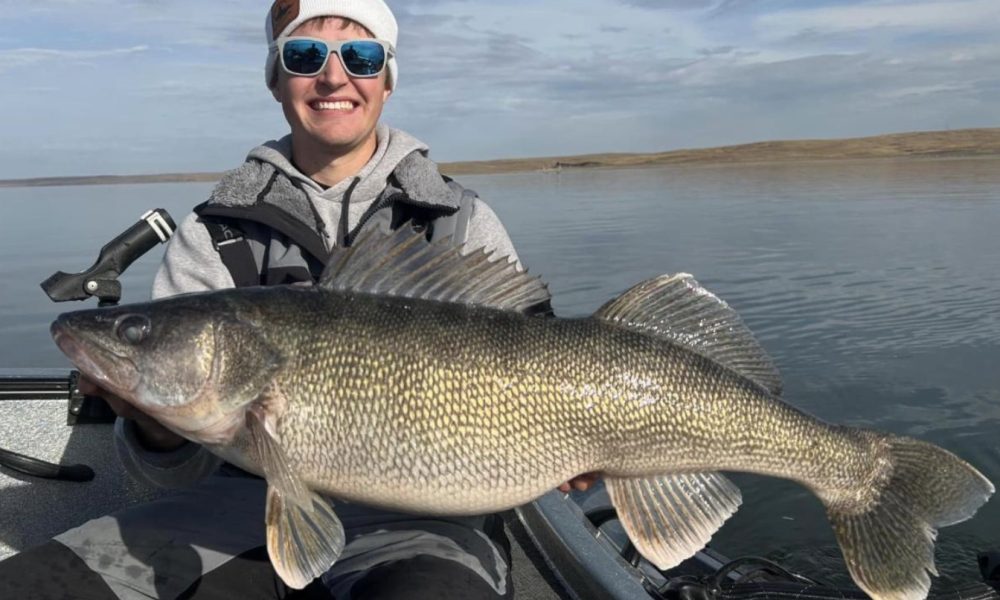 SD walleye record shattered, Spinning reel strip down, Early-ice