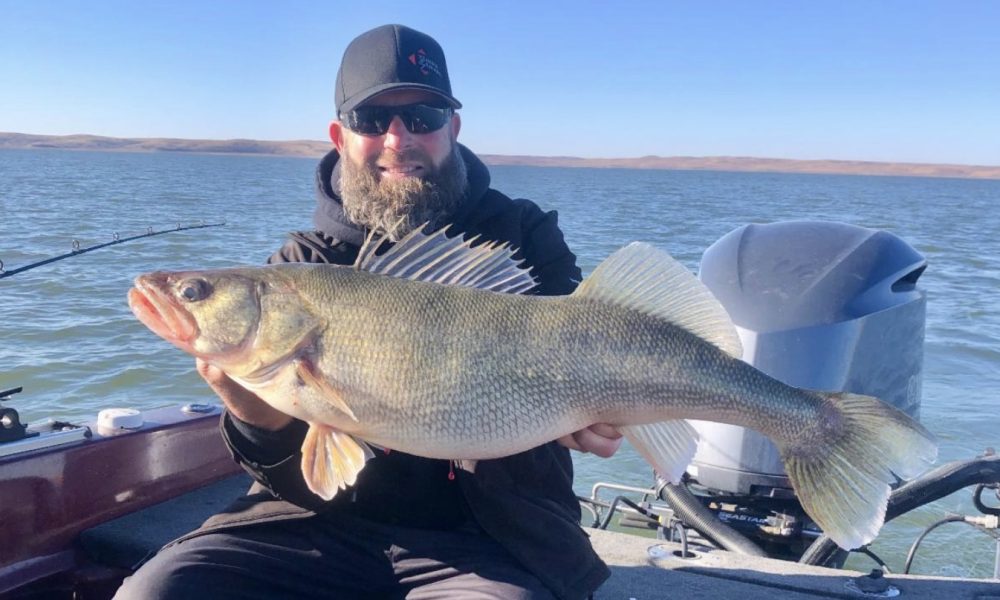 Lake Oahe teener, Fish shallower early ice, Al's first Lindy Rig