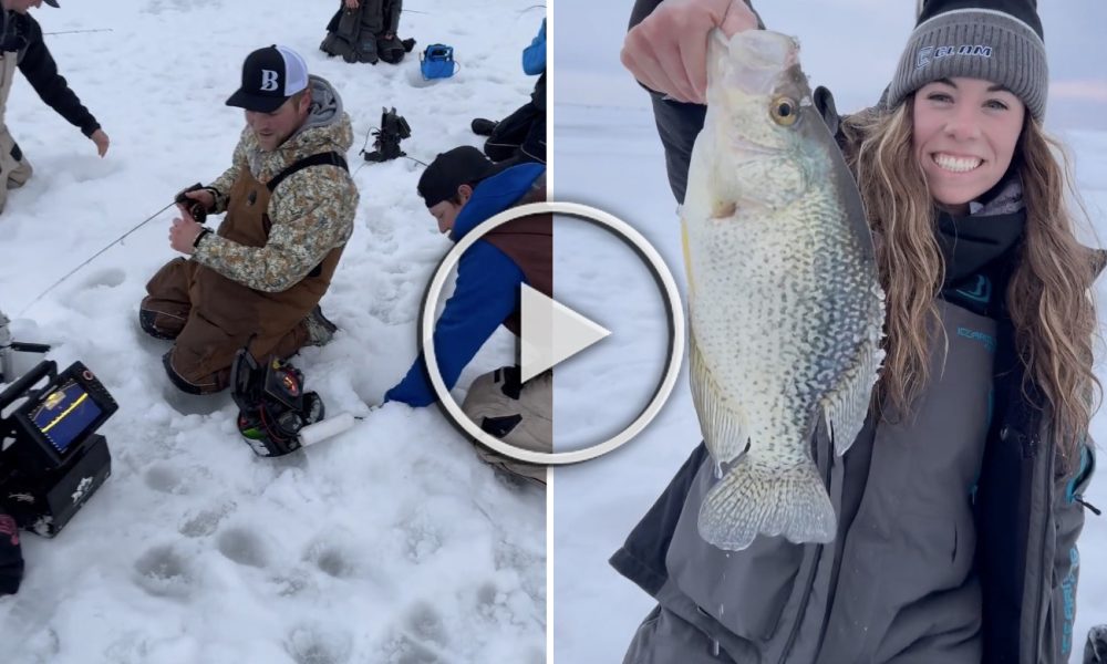 Ridiculous 18-lb walleye, Wild URL crappie video, Line spooling hacks – Target Walleye