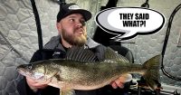 The truth about Mille Lacs walleyes